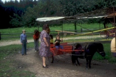 1970-3