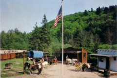 1970-8