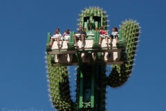 le_cactus_-_attraction_-_290