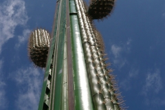 le_cactus_-_attraction_-_291