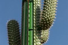 le_cactus_-_attraction_-_297