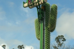 le_cactus_-_attraction_-_298