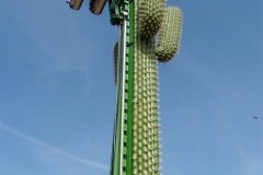 le_cactus_-_attraction_-_301