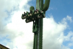 le_cactus_-_attraction_-_302