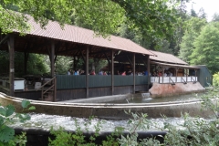 le_flum_-_attraction_-_3557