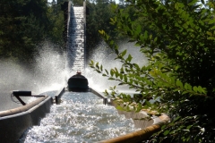 le_flum_-_attraction_-_351