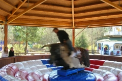 le_rodeo_-_attraction_-_363