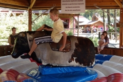 le_rodeo_-_attraction_-_364