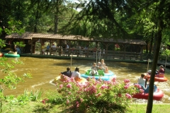 les_bumpers_-_attraction_-_371