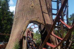 Timberdrop-attraction-07