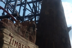 Timberdrop-attraction-11