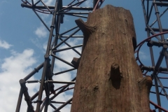 Timberdrop-attraction-12