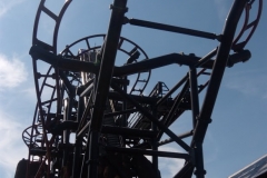 Timberdrop-attraction-16