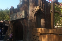 Timberdrop-attraction-23