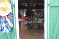 DSC05969