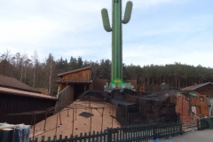 le_cactus_-_construction_-_906