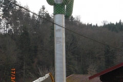 le_cactus_-_construction_-_409