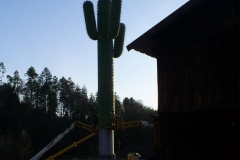 le_cactus_-_construction_-_410