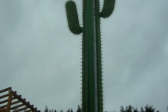 le_cactus_-_construction_-_441