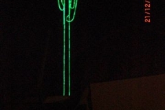 le_cactus_-_construction_-_208