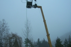 le_cactus_-_construction_-_205