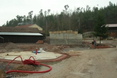 le_cactus_-_construction_-_350