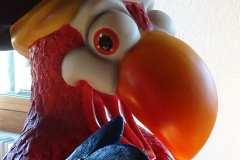 87879923_10158243293324853_6483062728821833728_o