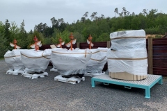 thumbnail_IMG_639511