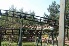 trg vert13