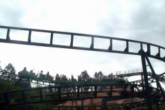 trg vert17