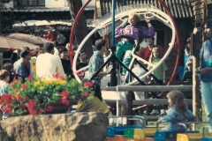 girofolys3