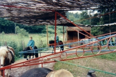 Image-29