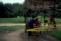 Image-01