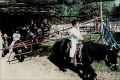 enfant sur le poney