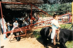 Image-26