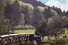 Disparue - Train Far West - 12