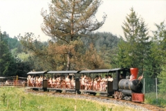 train 1