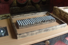 DSCN6579