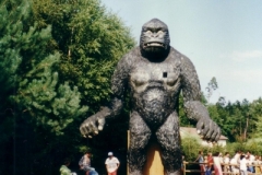 gorille2001fc