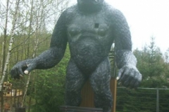 gorille2005