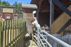 20250621_145231-scaled